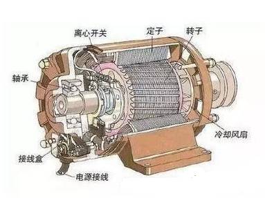 交流電動機結構示意圖.jpg