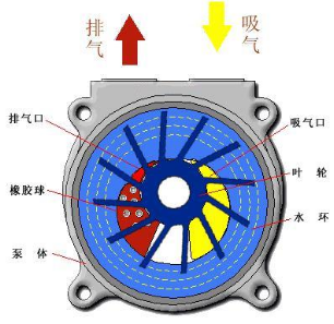 水環真空泵基本結構圖.png